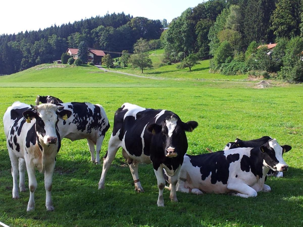 Direkt Zwischen Chiemsee U Alpen Dg Bernau am Chiemsee Zewnętrze zdjęcie